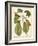 Magnificent Magnolias II-Jacob Trew-Framed Premium Giclee Print