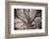 Magnificent Oak-Michael Hudson-Framed Art Print