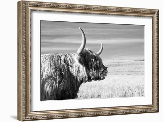 Magnificent Wild - Focus-James Guilliam-Framed Giclee Print