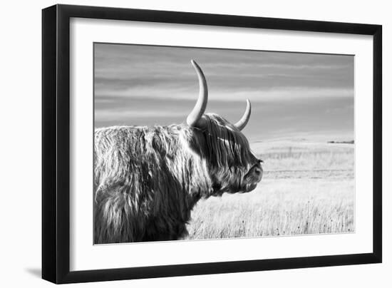 Magnificent Wild - Focus-James Guilliam-Framed Giclee Print