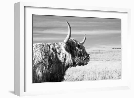 Magnificent Wild - Focus-James Guilliam-Framed Giclee Print