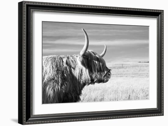 Magnificent Wild - Focus-James Guilliam-Framed Giclee Print