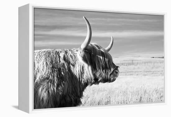 Magnificent Wild - Focus-James Guilliam-Framed Stretched Canvas