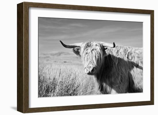 Magnificent Wild - Grace-James Guilliam-Framed Giclee Print