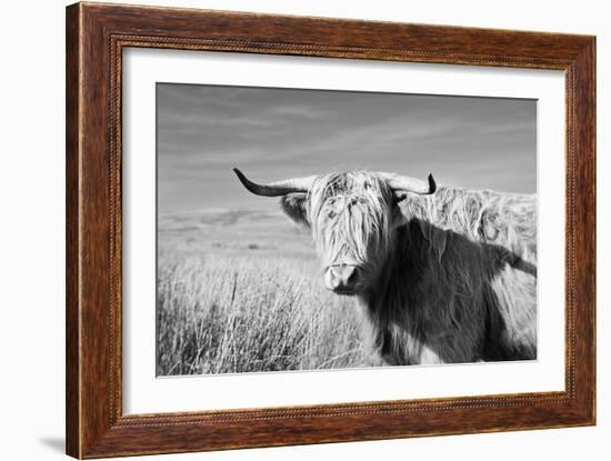 Magnificent Wild - Grace-James Guilliam-Framed Giclee Print