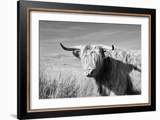 Magnificent Wild - Grace-James Guilliam-Framed Giclee Print