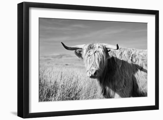 Magnificent Wild - Grace-James Guilliam-Framed Giclee Print
