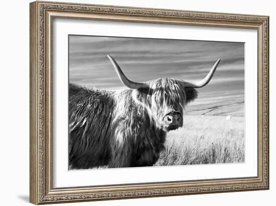 Magnificent Wild - Poise-James Guilliam-Framed Giclee Print