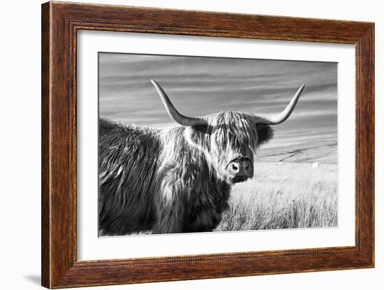 Magnificent Wild - Poise-James Guilliam-Framed Giclee Print