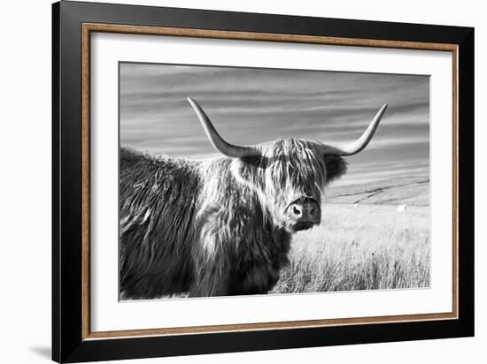 Magnificent Wild - Poise-James Guilliam-Framed Giclee Print