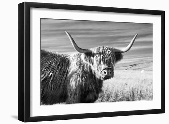 Magnificent Wild - Poise-James Guilliam-Framed Giclee Print