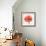 Magnified Poppy I-Grace Popp-Framed Art Print displayed on a wall