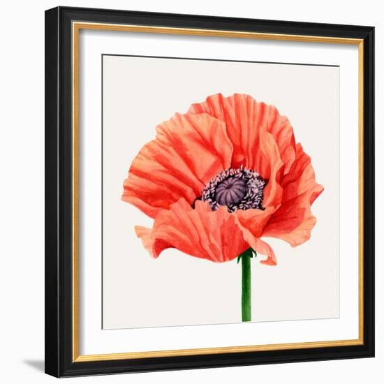 Magnified Poppy I-Grace Popp-Framed Art Print