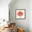 Magnified Poppy II-Grace Popp-Framed Art Print displayed on a wall