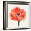 Magnified Poppy II-Grace Popp-Framed Art Print