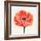 Magnified Poppy II-Grace Popp-Framed Art Print