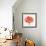 Magnified Poppy II-Grace Popp-Framed Art Print displayed on a wall