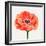 Magnified Poppy II-Grace Popp-Framed Art Print