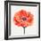 Magnified Poppy II-Grace Popp-Framed Art Print