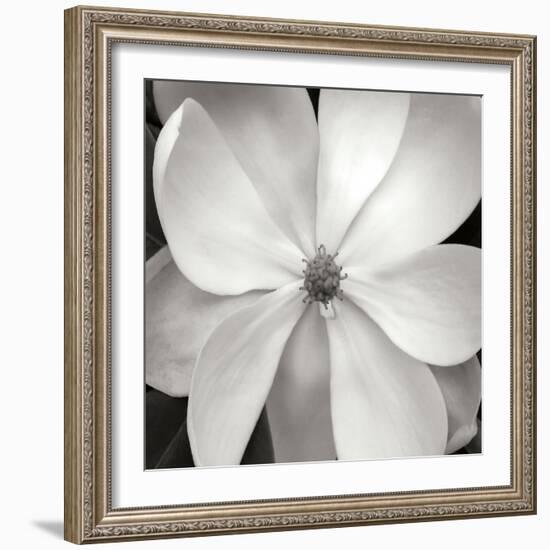 Magnloia III-Jim Christensen-Framed Photographic Print