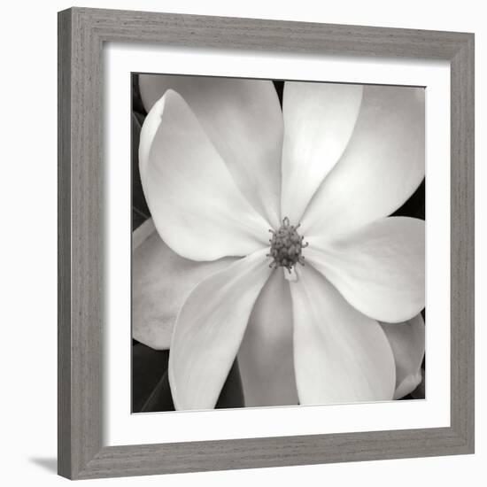 Magnloia III-Jim Christensen-Framed Photographic Print