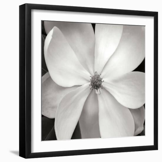 Magnloia III-Jim Christensen-Framed Photographic Print