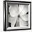 Magnloia III-Jim Christensen-Framed Photographic Print