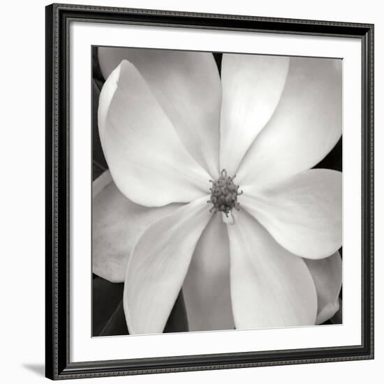 Magnloia III-Jim Christensen-Framed Photographic Print