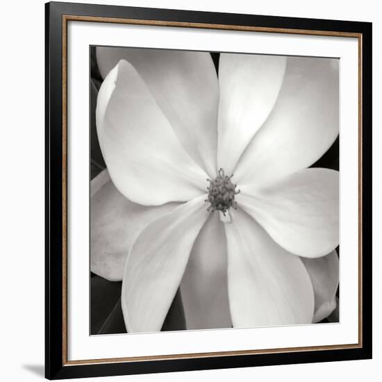 Magnloia III-Jim Christensen-Framed Photographic Print