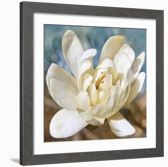 Magnolia 1-Leda Robertson-Framed Giclee Print