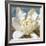 Magnolia 1-Leda Robertson-Framed Giclee Print