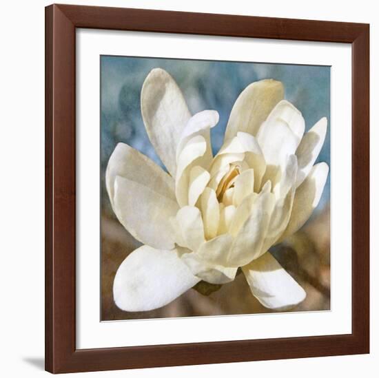 Magnolia 1-Leda Robertson-Framed Giclee Print