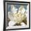 Magnolia 1-Leda Robertson-Framed Giclee Print
