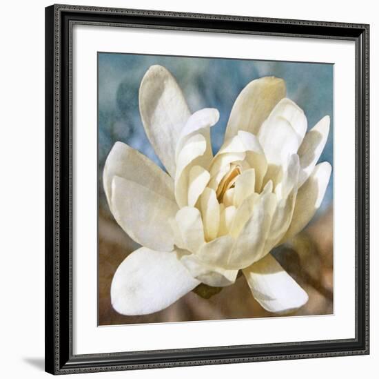 Magnolia 1-Leda Robertson-Framed Giclee Print