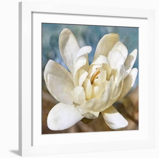 Magnolia 1-Leda Robertson-Framed Giclee Print