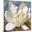 Magnolia 1-Leda Robertson-Mounted Giclee Print