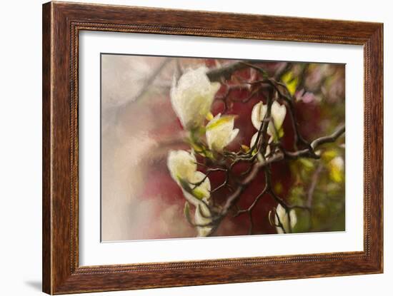 Magnolia, 2018,-Helen White-Framed Giclee Print