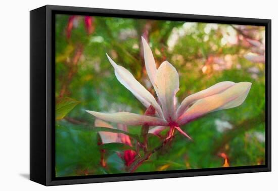 Magnolia, 2018,-Helen White-Framed Premier Image Canvas