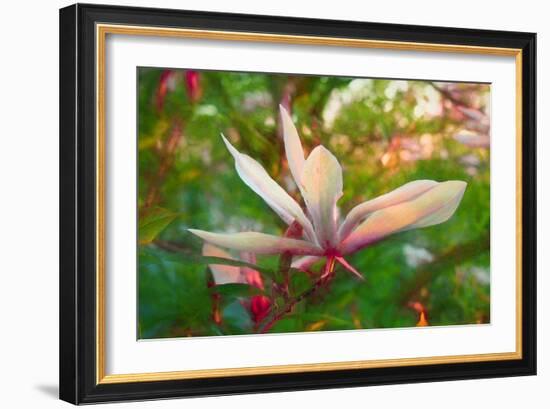 Magnolia, 2018,-Helen White-Framed Giclee Print