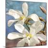 Magnolia 2-Leda Robertson-Mounted Giclee Print