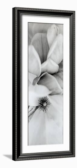 Magnolia #2-Alan Blaustein-Framed Photographic Print