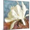 Magnolia 3-Leda Robertson-Mounted Giclee Print