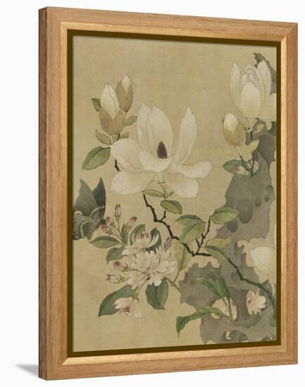 Magnolia and Butterfly-null-Framed Stretched Canvas