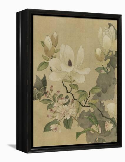 Magnolia and Butterfly-null-Framed Stretched Canvas