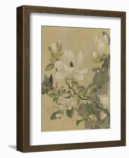 Magnolia and Butterfly-null-Framed Premium Giclee Print