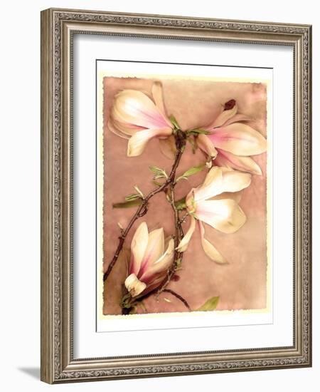 Magnolia and Cream II-Richard Sutton-Framed Art Print