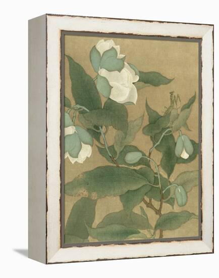 Magnolia and Praying Mantis-null-Framed Stretched Canvas