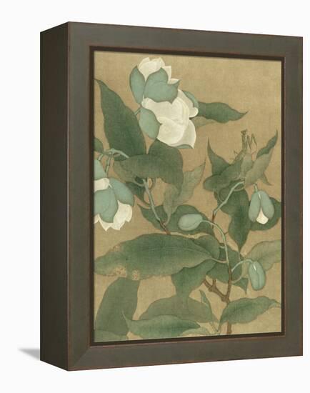 Magnolia and Praying Mantis-null-Framed Stretched Canvas