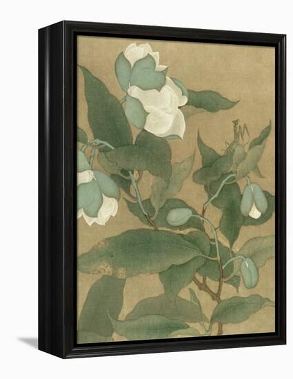 Magnolia and Praying Mantis-null-Framed Stretched Canvas