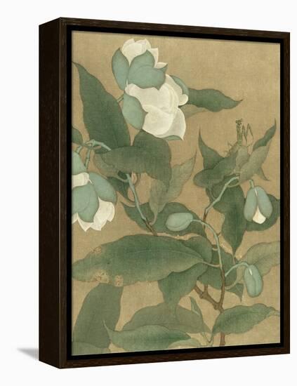 Magnolia and Praying Mantis-null-Framed Stretched Canvas